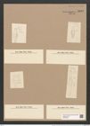 Dimerogramma ventricosum (Rab. et Jan.) Grun. (de-Toni-Nr.: Genus 80, Species 2882) Zeichnungen Sammlung Grunow Nr. 5849 (NHMW-BOT-W0374285)